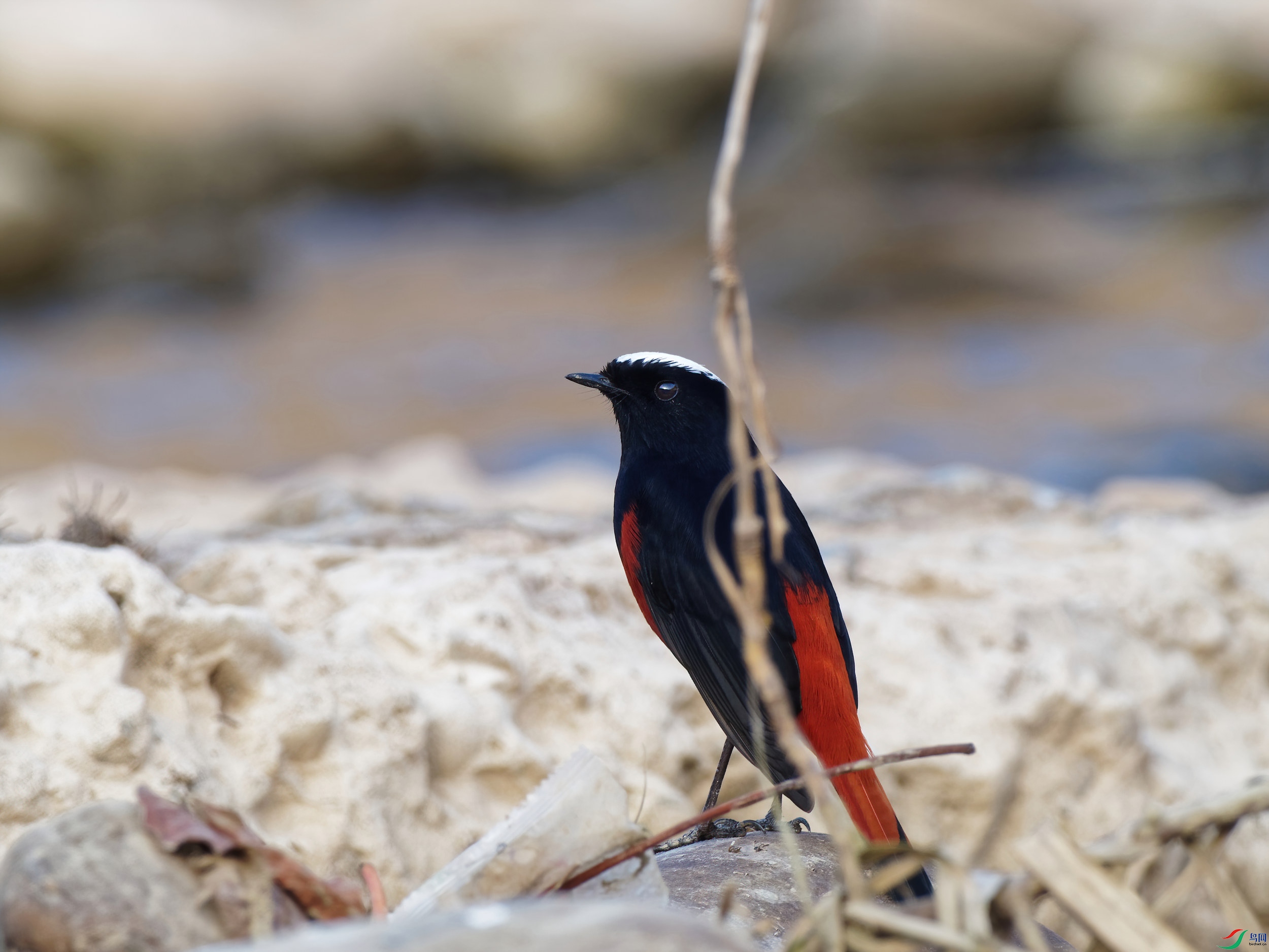 PB300107_DxO-d2.jpg