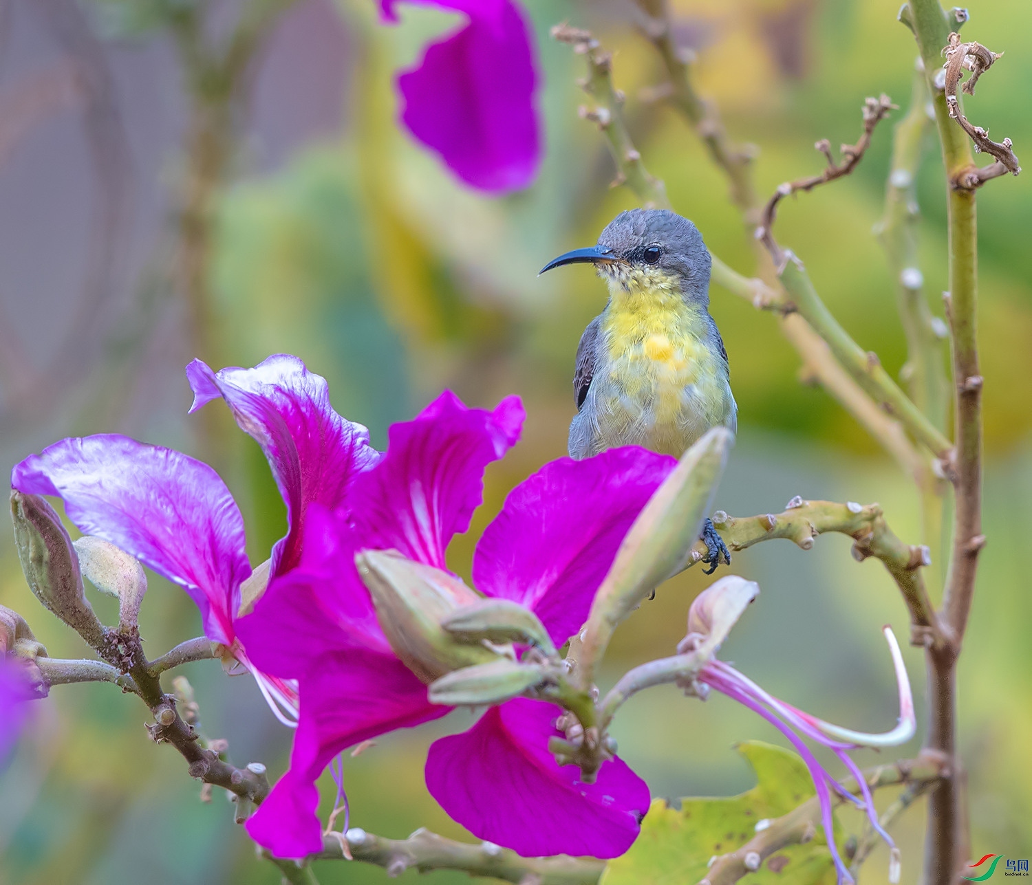 DSC_5137.jpg