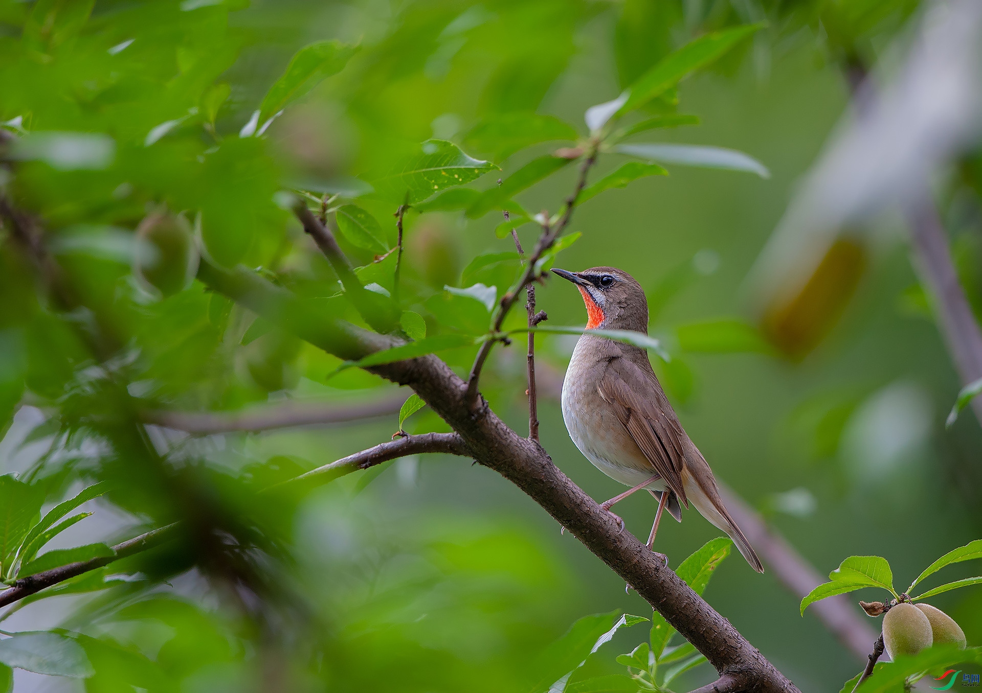 D3S_3364.jpg