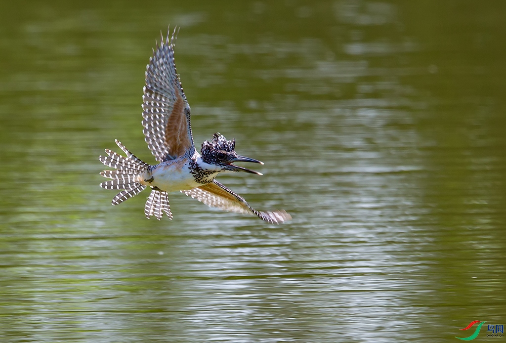 Canon__Canon EOS-1D X__2021_08_24__1687a83.jpg