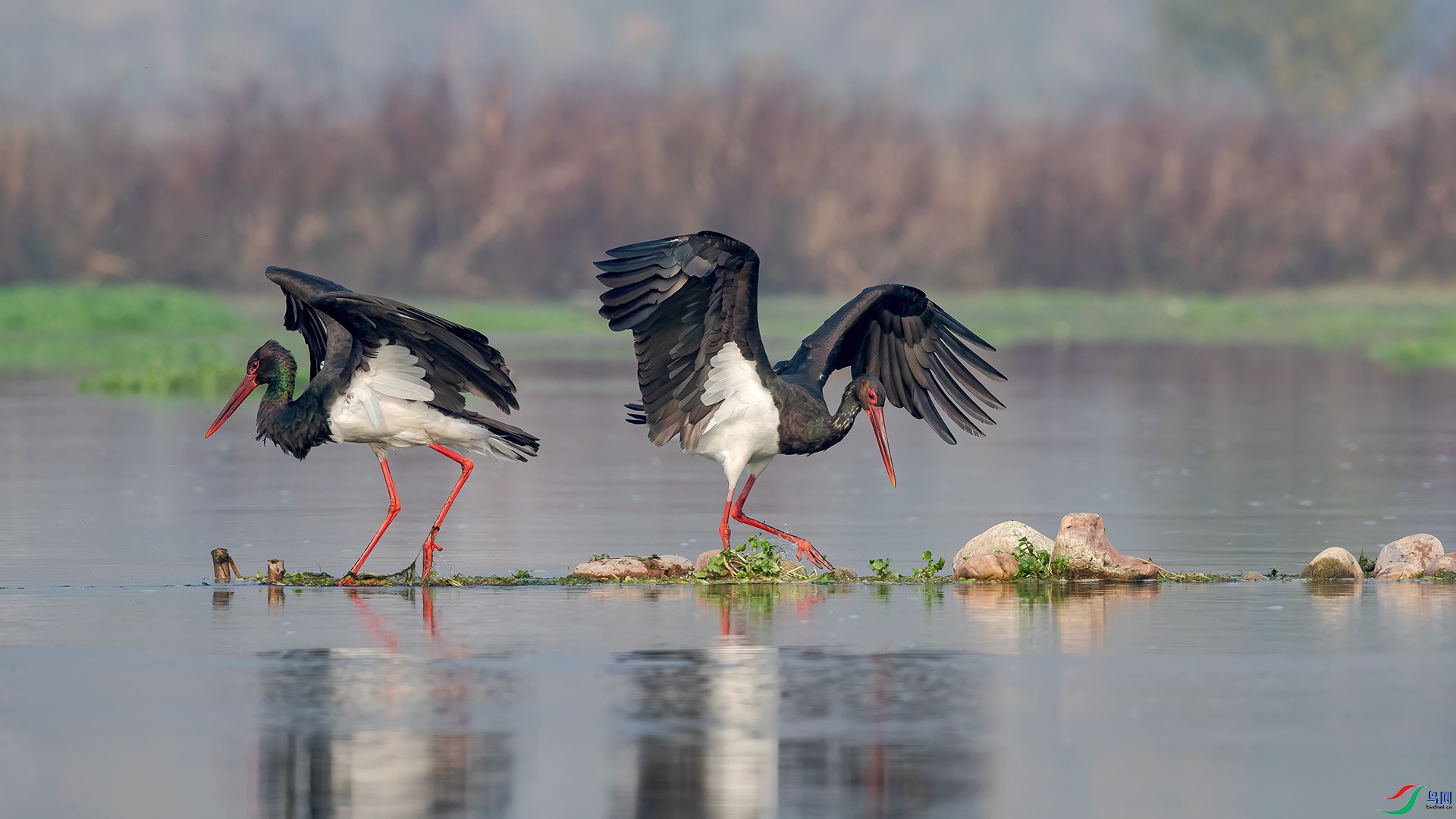 1DX_2630 ����.jpg