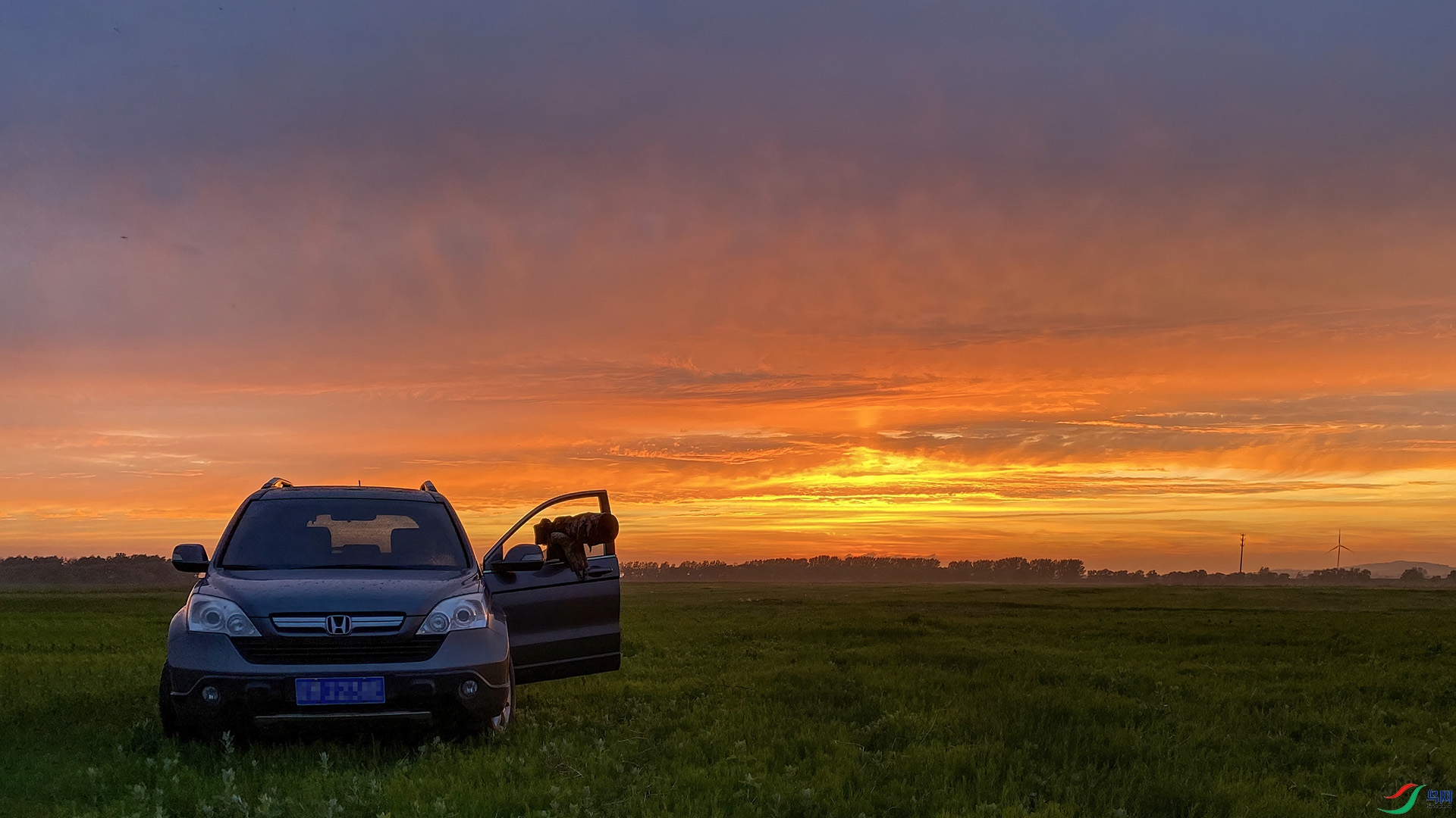 IMG_7494 ����.jpg