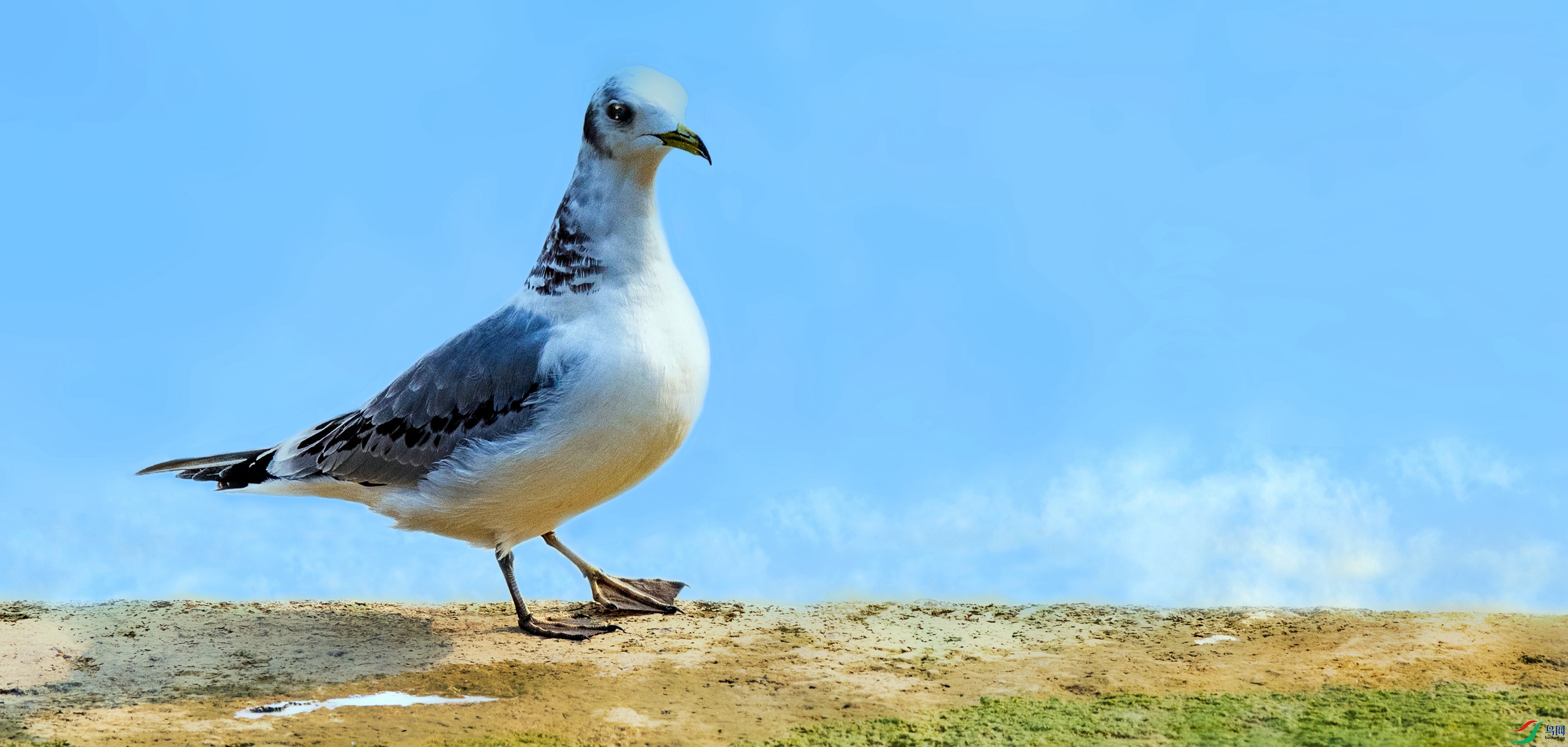 ADK_3760_����.jpg