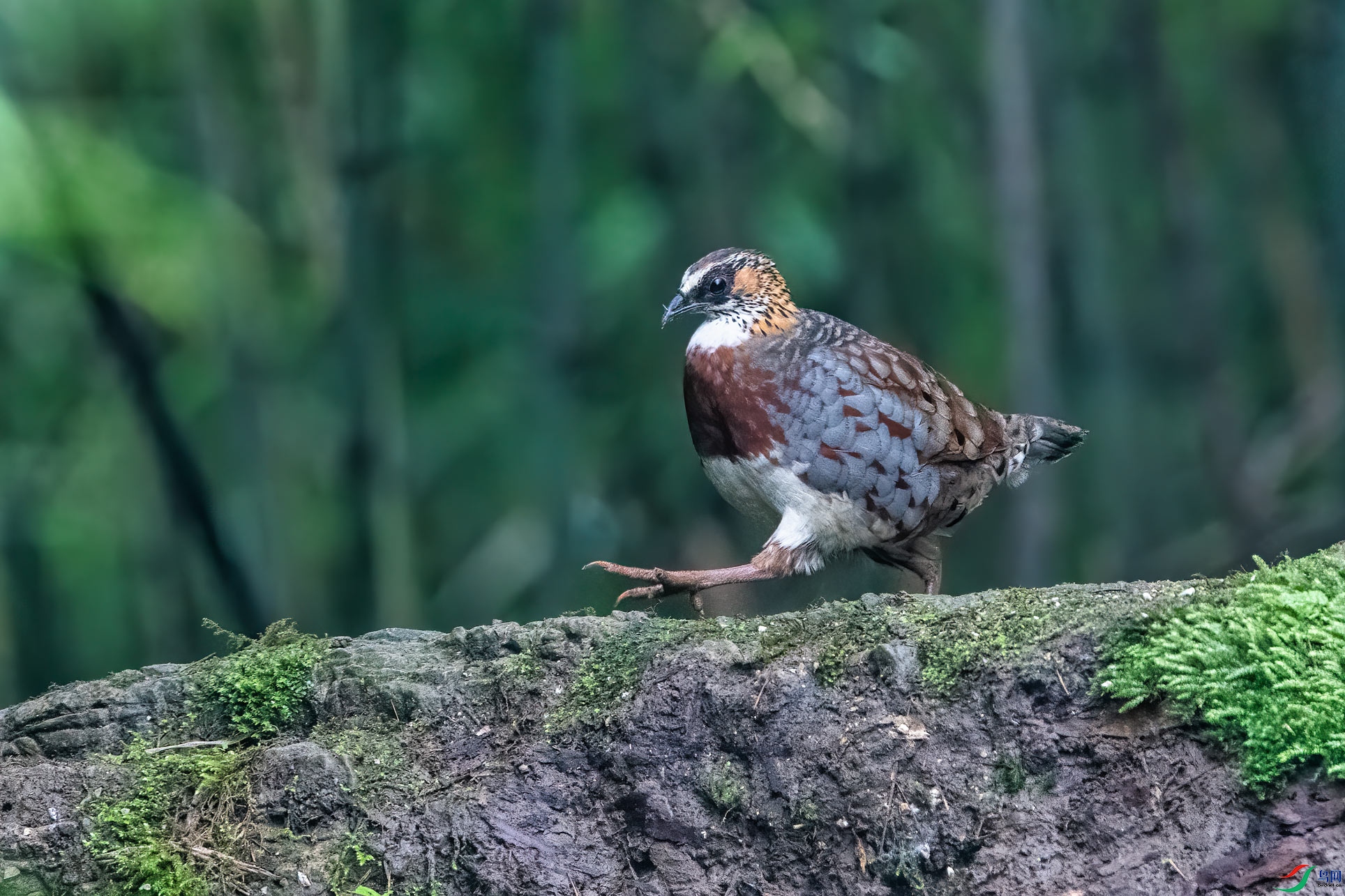 DSC_8911-1.jpg