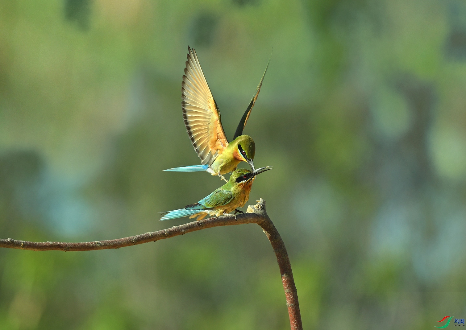 DSC_9304--3����.jpg