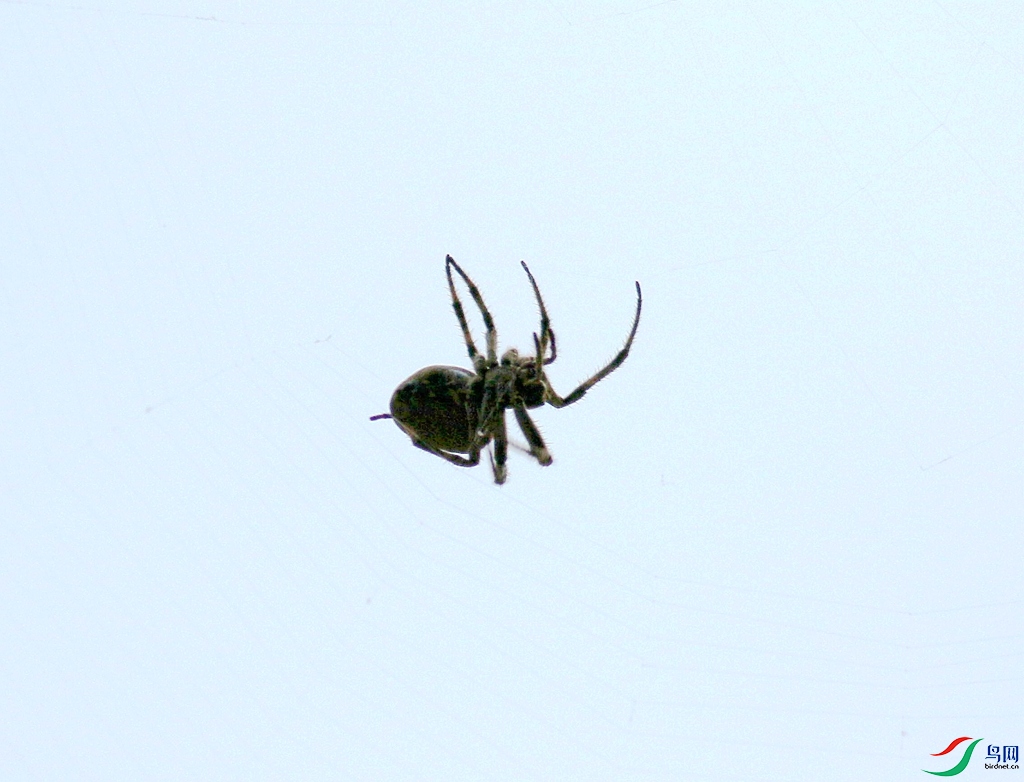 367A2517_����.jpg