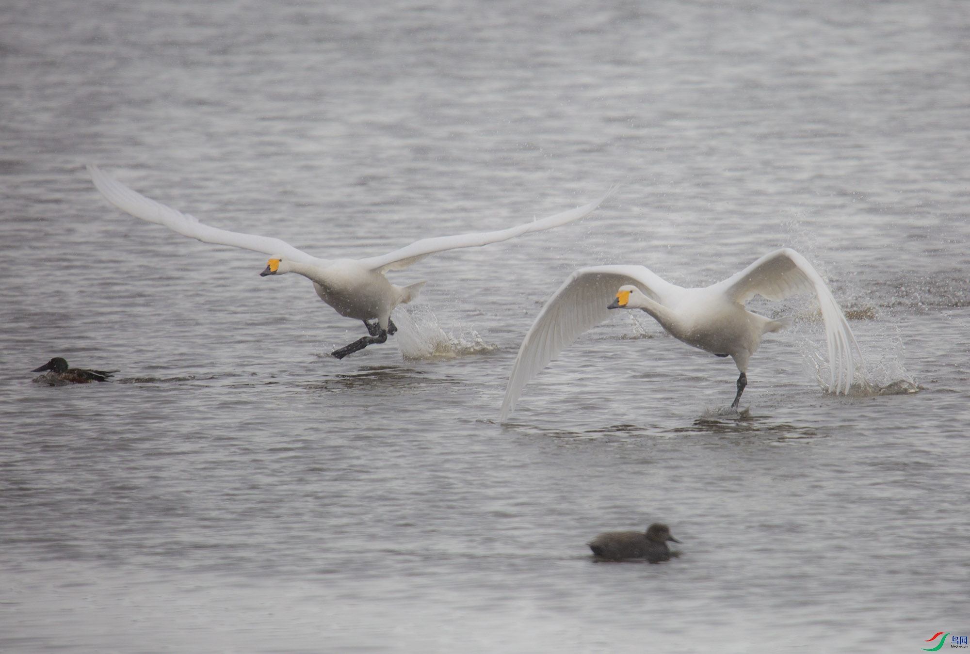 ����  A7044---33.jpg