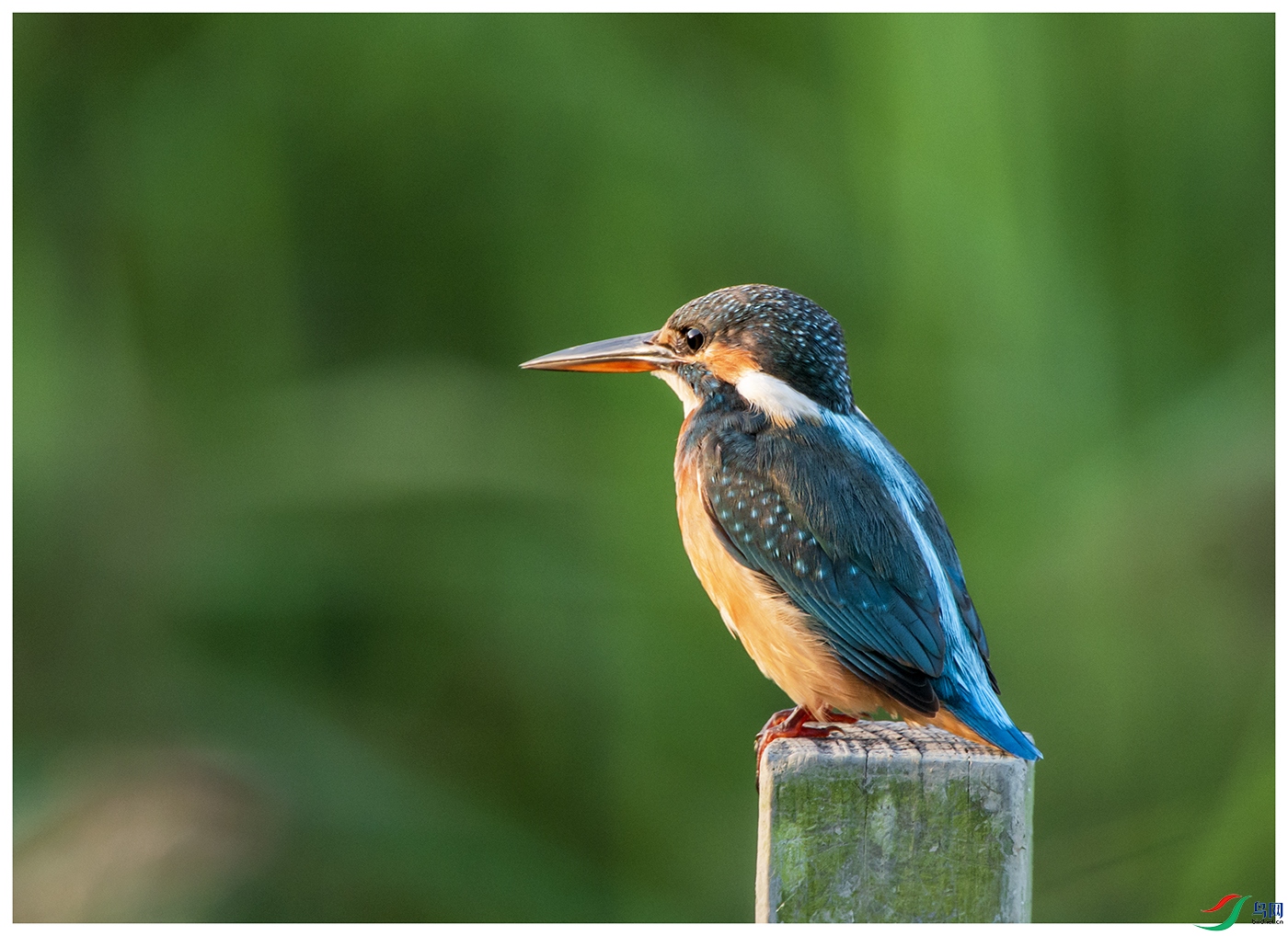 DSC_5839.jpg
