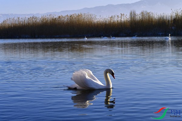 File0000079369.jpg