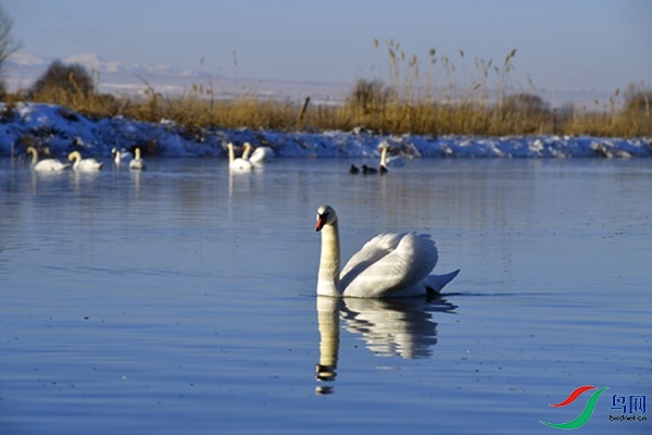 File0000079568.jpg