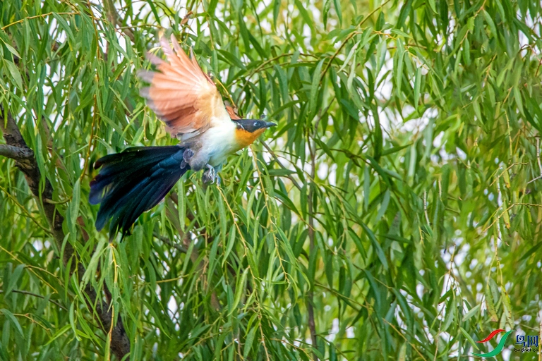DSC_0030a.jpg