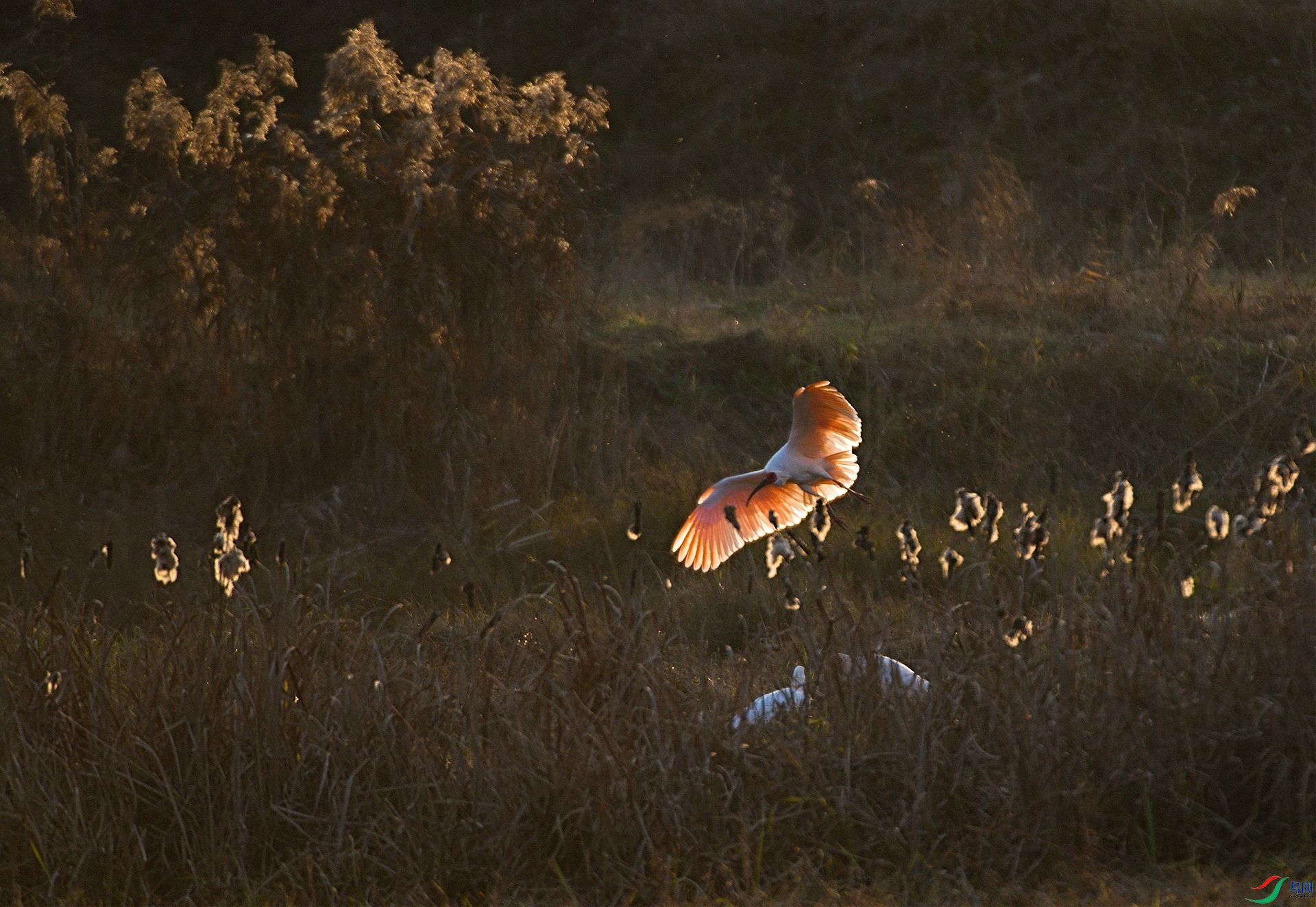 DSC_6155-Exposure.jpg