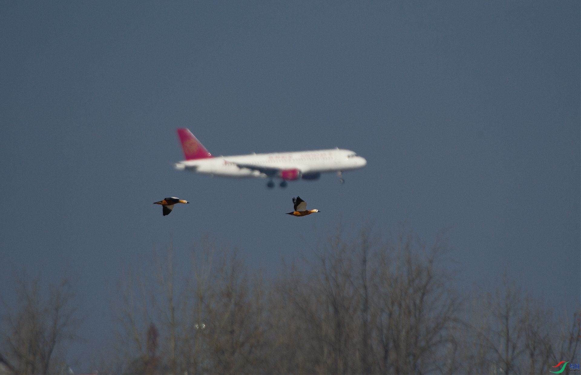 DSC_1883-Exposure.jpg