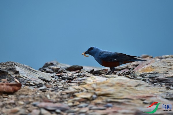 File0000051659.jpg