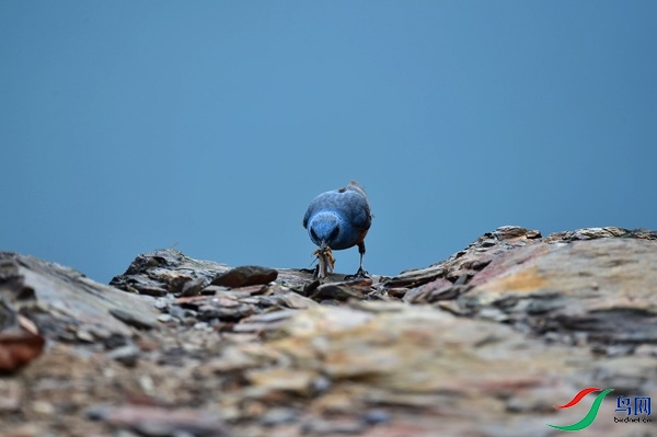 File0000051475.jpg