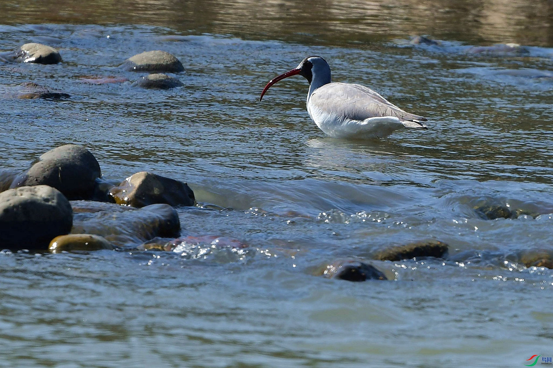 DSC_6145_����.jpg