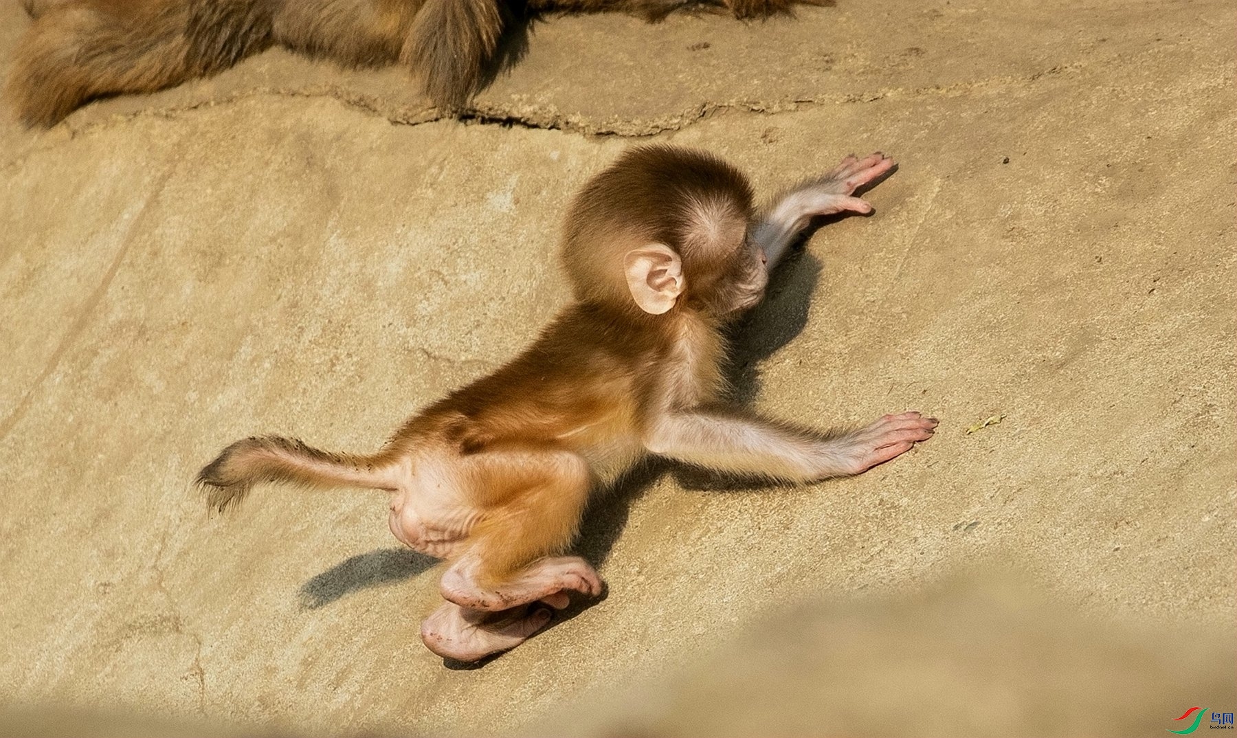 �����Ͱ��� (3).jpg