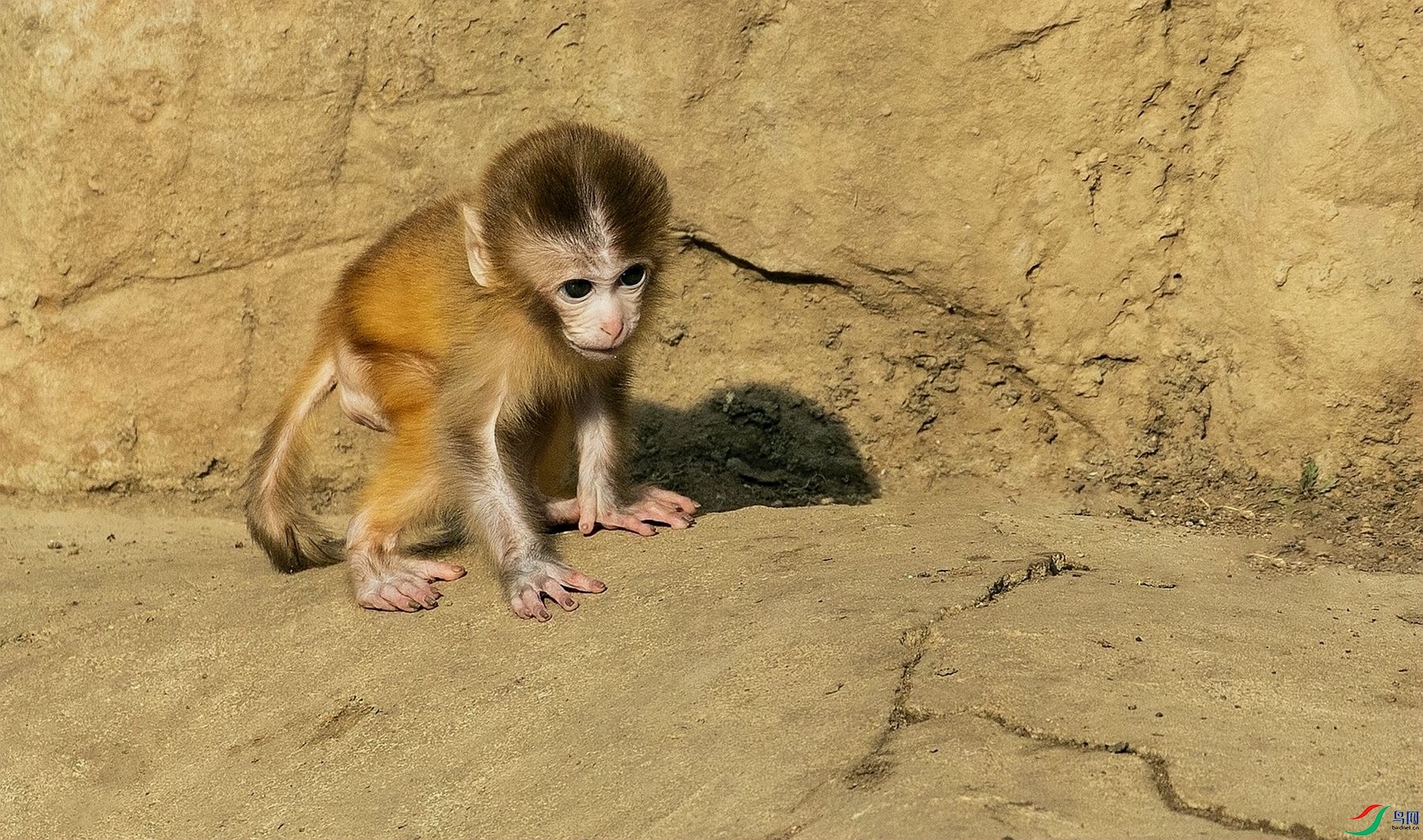 �����Ͱ��� (1).jpg