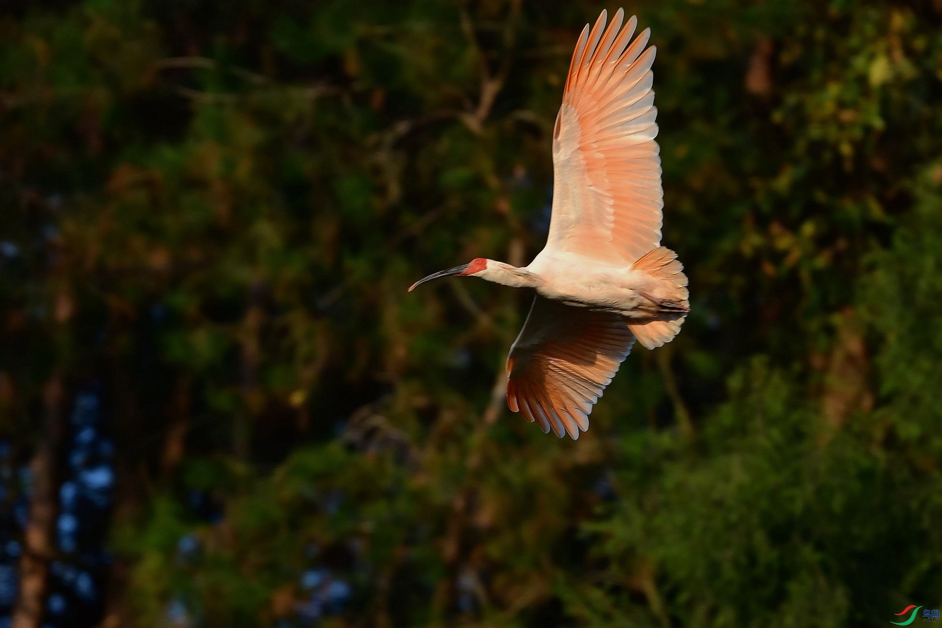 DSC_6942_����.jpg