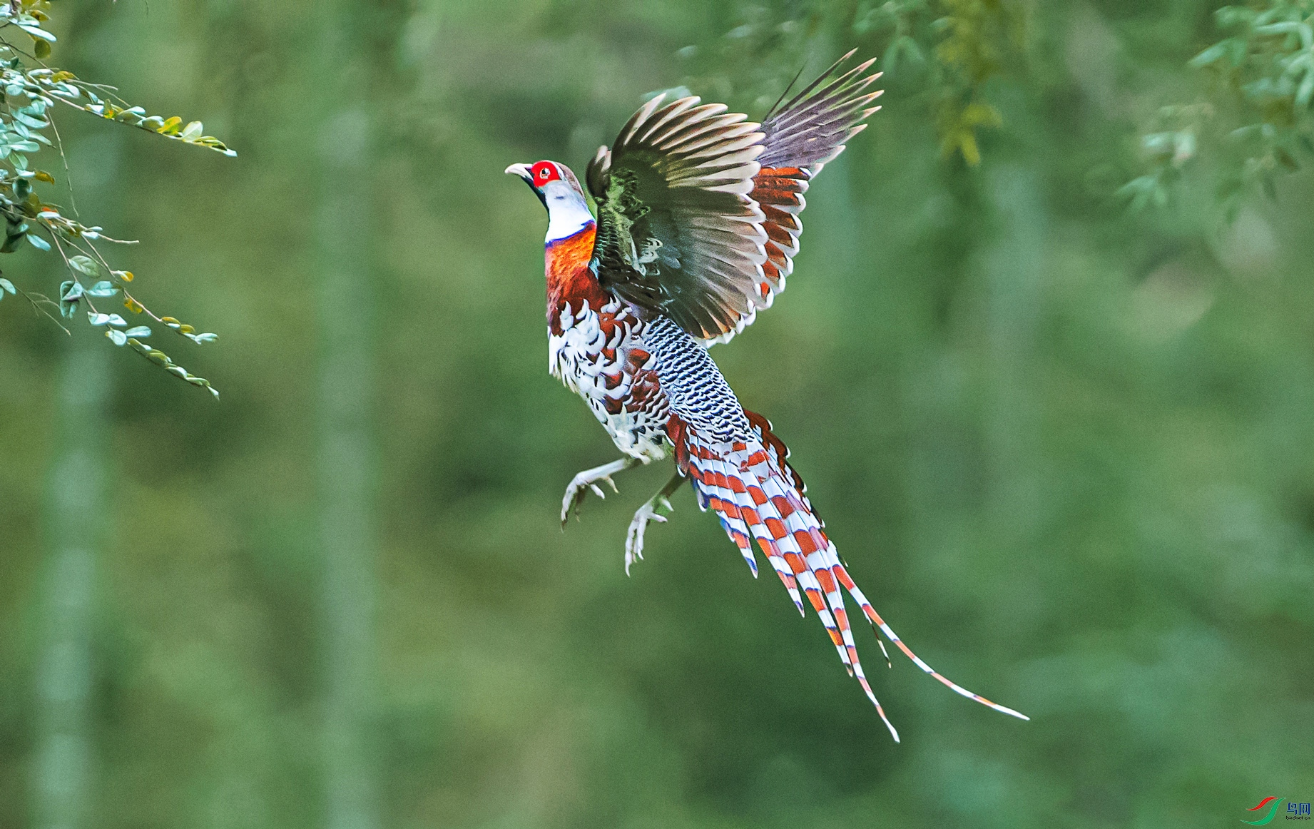 A99I6222-1s.jpg