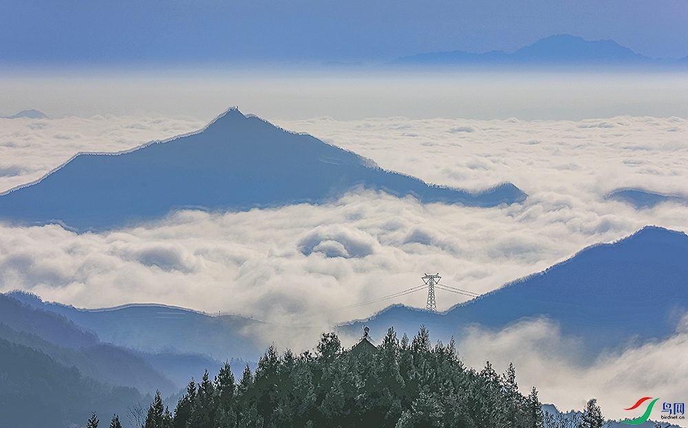 817A9996-1a ����c.jpg