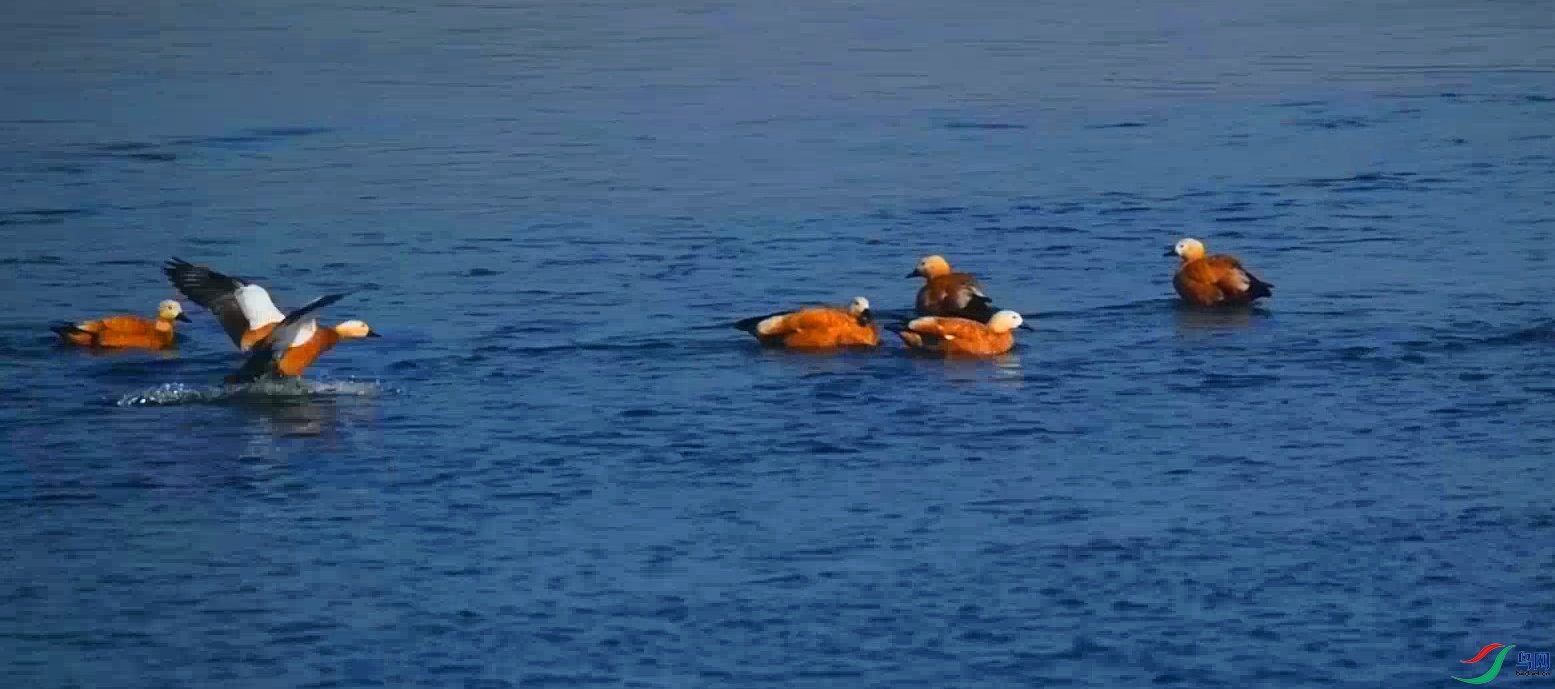 DSC_5007 00_00_04-00_00_09_Moment����Ѽ-02-01-p-3.jpg