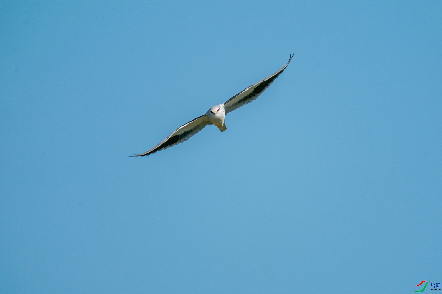 A9D00908-006.jpg