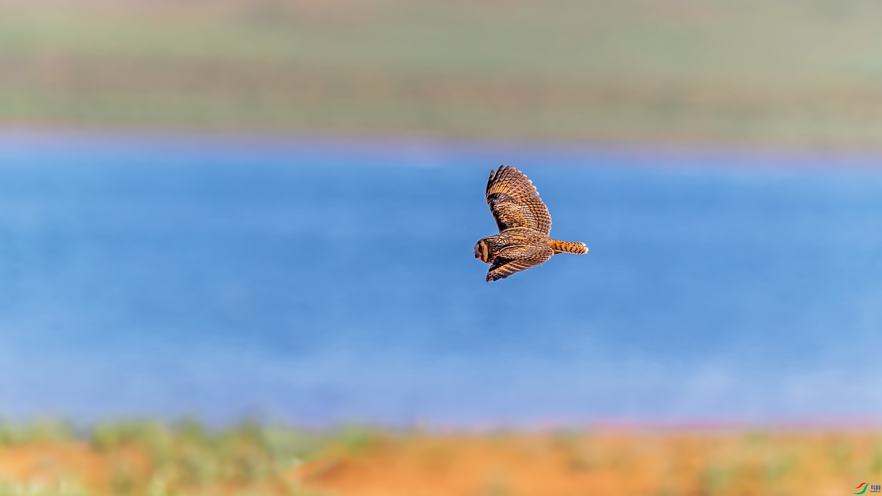 _DSC3034_��ͼ��.jpg