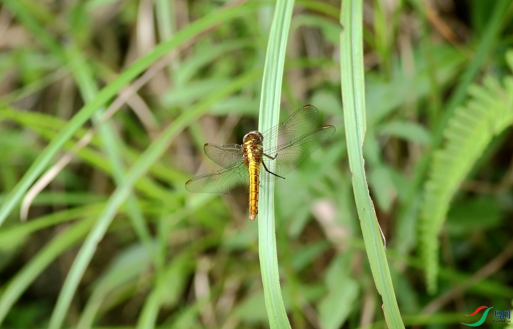 367A8607_����.jpg