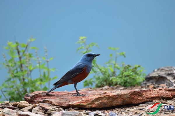 File0000051827.jpg