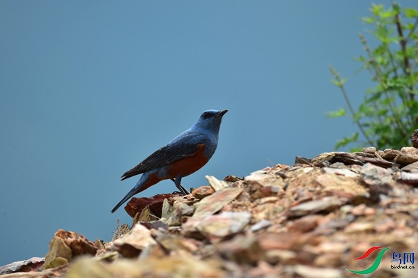 File0000051912.jpg