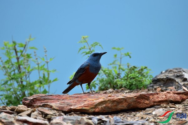 File0000051688.jpg
