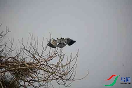 IMG_0046 - ����.jpg