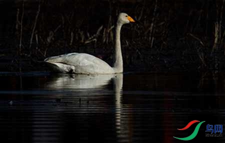 B17P4572 - ����.jpg