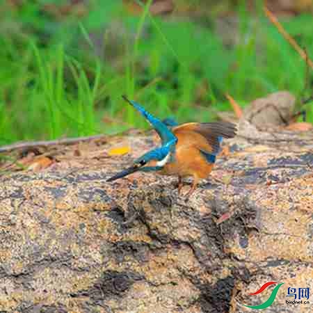 B17P3315 - ����.jpg