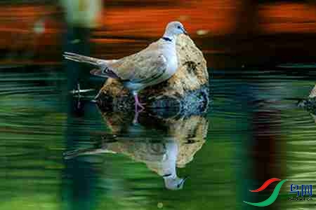 B17P3247 - ����.jpg