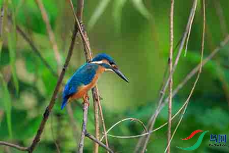 B17P3138 - ����.jpg