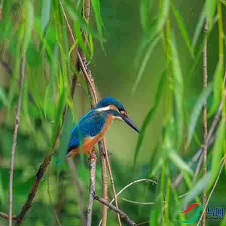 B17P3136 - ����.jpg