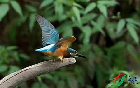 B17P3002 - ����.jpg