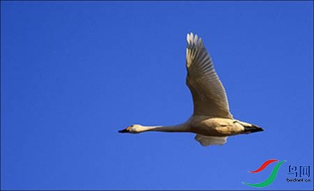 8B17P5208-18 - ����.jpg