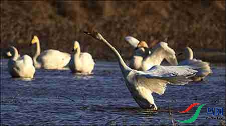 2B17P5128-12 - ����.jpg