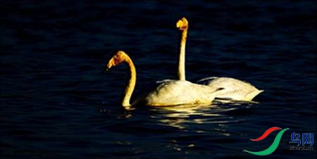 3BK5I3611-5 - ����.jpg