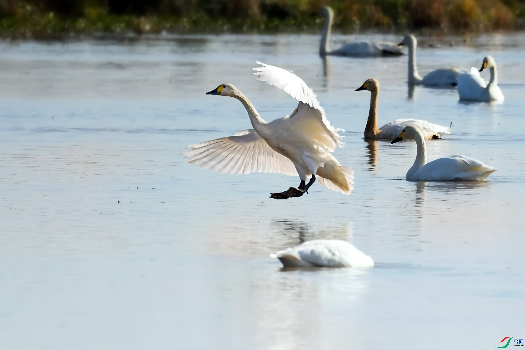 DSC_9746.jpg
