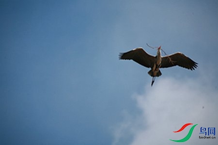 IMG_0056 - ����.jpg