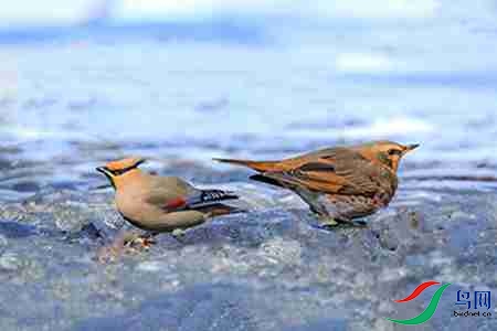 B17P4112 - ����.jpg