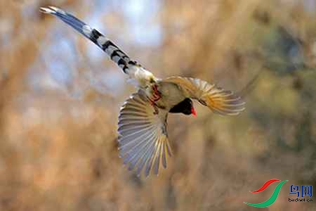 B17P3620 - ����.jpg