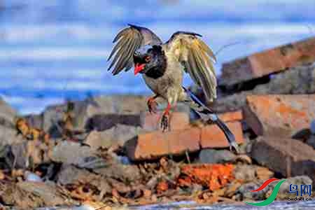 B17P3561 - ����.jpg