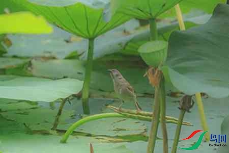 B17P0035 - ����.jpg