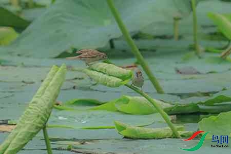 B17P0066 - ����.jpg