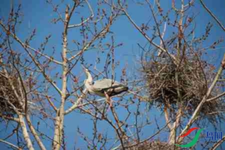 IMG_0040 - ����.jpg